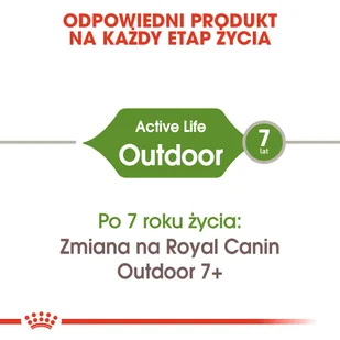 ROYAL CANIN  Outdoor 30 4kg karma sucha dla kotów dorosłych, wychodzących na zewnątrz + niespodzianka dla kota GRATIS - Sucha karma dla kotów - miniaturka - grafika 5