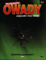 Czasopisma - Prawdziwe Owady Pajęczaki i Inne Robaki Reedycja - miniaturka - grafika 1