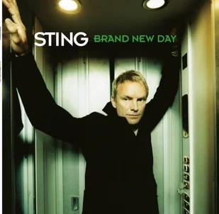 Music Corner BRAND NEW DAY 2LP Sting Płyta winylowa) - Pop - miniaturka - grafika 2