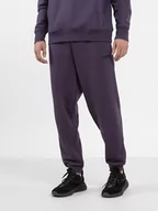 Spodnie sportowe męskie - 4F Spodnie dresowe w kolorze fioletowym - miniaturka - grafika 1