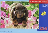 Puzzle - Castorland Puzzle 260 elementów. Słodki jamnik - miniaturka - grafika 1