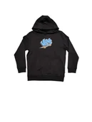 Bluzy damskie - Bluza dziecięca(8-14lat) BY VANS SK8 PO Black VN000RDHBLK1 M - Vans - miniaturka - grafika 1