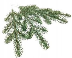 Sztuczna Gałązka Jak Żywa Sosna Świerk Pik 6Szt Na Bukiet Stroik Zielona - Sztuczne kwiaty - miniaturka - grafika 1