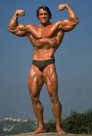 Podkładki pod mysz - PODKŁADKA POD MYSZ Z Nadrukiem 22x18 cm Arnold Schwarzenegger Tekst Prezent - miniaturka - grafika 1