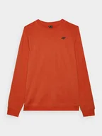 Bluzy męskie - BLUZA MĘSKA TSWSM1767 4F L - miniaturka - grafika 1