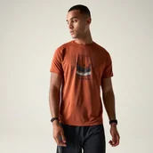 Koszulki sportowe męskie - Dare 2b Koszulka męska szybkoschnąca Tech II Pomarańczowy, Rozmiar: L - miniaturka - grafika 1
