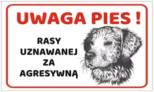 Tabliczka Uwaga Pies - Odblaski i adresówki - miniaturka - grafika 1