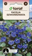 Nasiona i cebule - Facelia dzwonkowata nasiona 0,5g / T / - miniaturka - grafika 1