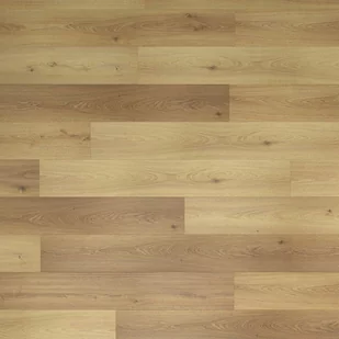 Panele podłogowe laminowane Irene AC5 8 mm Artens - Panele podłogowe - miniaturka - grafika 1