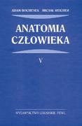 Książki medyczne - Wydawnictwo Lekarskie PZWL Anatomia człowieka - Adam Bochenek, Michał Reicher - miniaturka - grafika 1