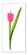 Naklejki na ścianę - Naklejka z kwiatami kwiatki 50cm - Tulipan 7, 50x18 cm - miniaturka - grafika 1