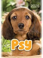 Kalendarze - KALENDARZ B4 PSY 2026 - miniaturka - grafika 1