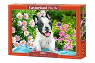 Puzzle - Castorland Puzzle 500 French Bulldog Puppy - - miniaturka - grafika 1