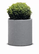 Donice - Keter Doniczka Cylinder Planter 224151 - miniaturka - grafika 1