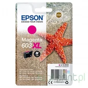 Gwarancje i pakiety serwisowe - EPSON Tusz Epson C13T03A34010 Magenta 603XL - miniaturka - grafika 1