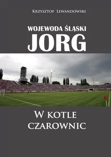 Wojewoda Śląski Jorg W Kotle Czarownic Krzysztof Lewandowski - Nauka - miniaturka - grafika 2
