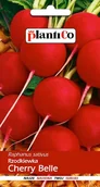Nasiona i cebule - NASIONA Rzodkiewka Cherry Belle 10g PLANTICO 406193 - miniaturka - grafika 1