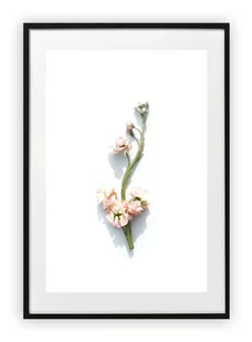 Plakat B1 70x100 cm Kwiaty Natura Rośliny Zieleń  WZORY - Plakaty - miniaturka - grafika 1