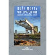 Książki o architekturze - Dolnośląskie Wydawnictwo Edukacyjne Duże mosty wieloprzęsłowe - Jan Biliszczuk - miniaturka - grafika 1