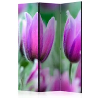Parawany - Parawan 3-częściowy - Fioletowe wiosenne tulipany [Room Dividers] (rozmiar 135x172) - miniaturka - grafika 1