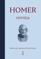 E-booki - literatura obca - Odyseja - miniaturka - grafika 1