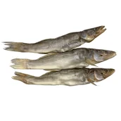 Konserwy i dania rybne - Sandacz suszony patroszony "Albacor" (ok 250g)luz - miniaturka - grafika 1