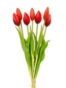 Sztuczne kwiaty - Tulipany silikonowe jak żywe czerwone bukiet 7 sztuk gumowe 44 cm zamknięte - miniaturka - grafika 1