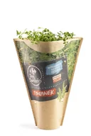 Przyprawy i zioła sypkie - Zioła świeże - tymianek doniczka - miniaturka - grafika 1