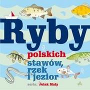 Książki edukacyjne - Lettra-Graphic Władysław Fisher Ryby polskich stawów, rzek i jezior - miniaturka - grafika 1