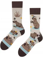 Skarpetki męskie - Skarpetki kolorowe TODO SOCKS Kapibara 35-38 - miniaturka - grafika 1
