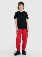 Spodnie i spodenki dla chłopców - 4F Spodnie dresowe joggery chłopięce - czerwone 122 (6-7 lat) - miniaturka - grafika 1