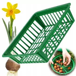 Koszyk do cebulek Julis 28 x 25 cm, zielony - Pozostałe akcesoria do uprawy roślin - miniaturka - grafika 1