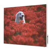 Ogrzewanie przenośne - TERMOFOL Grzejnik na podczerwień z grafiką Pies na Łące TF-SWT700P - miniaturka - grafika 1