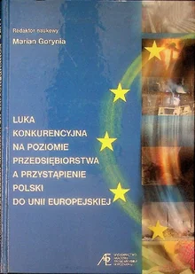 Luka konkurencyjna na poziomie przedsiębiorstwa a przystąpienie polski do unii europejskiej - Biznes - miniaturka - grafika 1