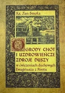 Religia i religioznawstwo - Ogrody cnót i uzdrowieńcze zdroje duszy - miniaturka - grafika 1