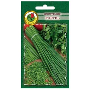 SZCZYPIOREK FORTEL AROMATYCZNY DŁUGI WIELOLETNI NASIONA BEZ GMO - Nasiona i cebule - miniaturka - grafika 1