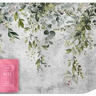 Fototapety - FOTOTAPETA LIŚCIE BETON DO SALONU SYPIALNI KUCHNI TAPETA NA ŚCIANĘ 150x105 - miniaturka - grafika 1