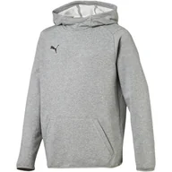 Bluzy dla chłopców - Puma, Bluza chłopięca, Liga Casuals Hoody 655636 33, rozmiar 128 cm - miniaturka - grafika 1