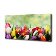 Obrazy i zdjęcia na płótnie - Foto obraz na płótnie Kolorowe tulipany - miniaturka - grafika 1