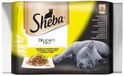 Mokra karma dla kotów - Sheba Delicato Drób Galaretka 85g 3+1 gratis 7474 - miniaturka - grafika 1