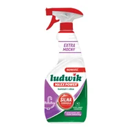 Inne artykuły czyszczące - Płyn czyszczący kamień i rdza 600 ml Ludwik Maxx Power - miniaturka - grafika 1