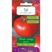 Nasiona i cebule - Pomidor karłowy Reniro F1 nasiona W.Legutko - miniaturka - grafika 1