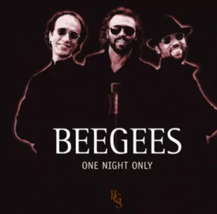 Bee Gees One Night Only - Pop - miniaturka - grafika 1