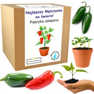 Nasiona i cebule - Papryka Jalapeno Chili prezent dla niego chłopaka - miniaturka - grafika 1