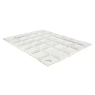 Kołdry - Paradies Kołdra BOTANIC puchowa Rozmiar kołdry 200x200 Wersja City 140 g/m2) - miniaturka - grafika 1