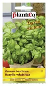 Nasiona i cebule - Plantico Bazylia właściwa - miniaturka - grafika 1