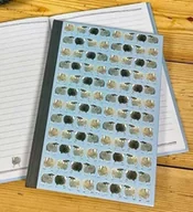 Notesy i bloczki - Notatnik A5 SHB06 Owieczki TW - Alex Clark - miniaturka - grafika 1