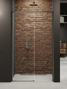 Drzwi prysznicowe rozsuwane prawe kolor stalowy 100 cm D-0886A Prime New Trendy Gunmetal Brushed - Ścianki i drzwi prysznicowe - miniaturka - grafika 1