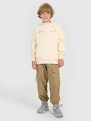 Spodnie i spodenki dla chłopców - 4F Spodnie casual cargo chłopięce - brązowe 122 (6-7 lat) - miniaturka - grafika 1