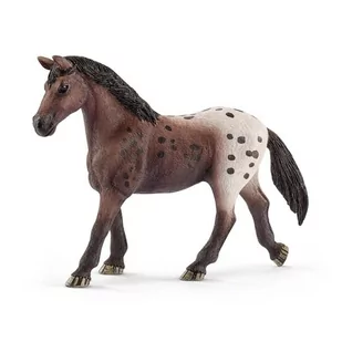 Schleich KLACZ RASY APPALOOSA 13861 - Figurki dla dzieci - miniaturka - grafika 2